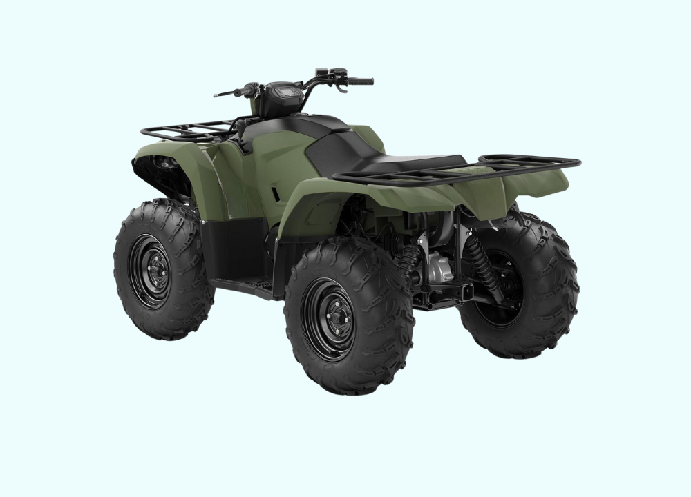 Yamaha Kodiak photo 2024